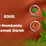 Biokhol, Obat Herbal Kolesterol Alami yang Aman untuk Usia 40+