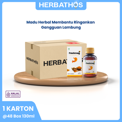 Freshmag 130ML - 1 Karton (Khusus Reseller)